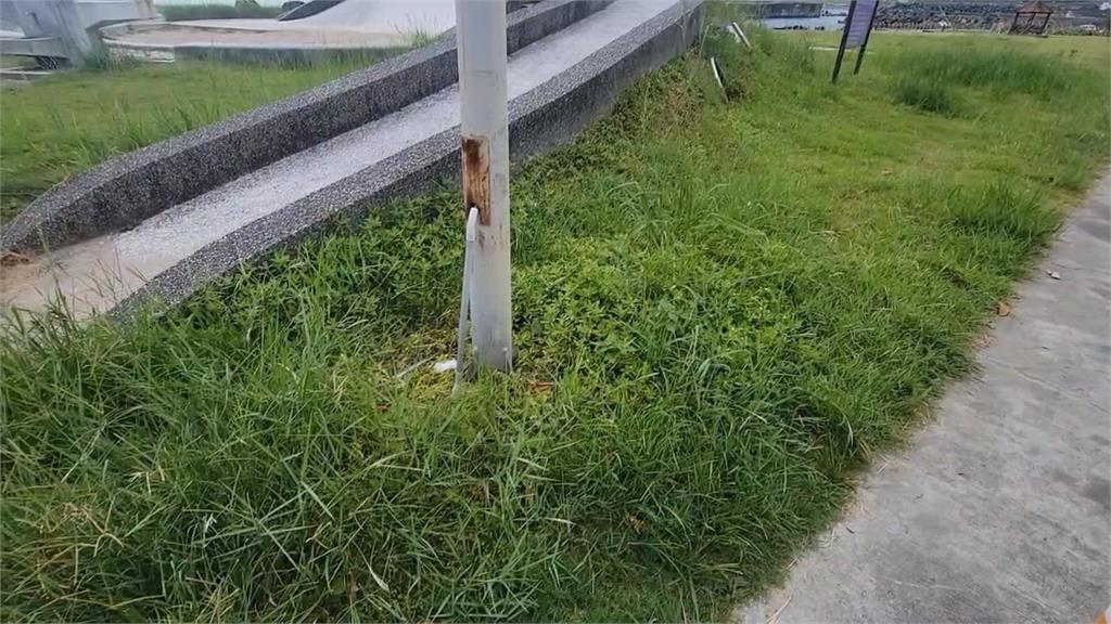 潮境公園眼鏡蛇出沒！　遊客怨：沒警示牌
