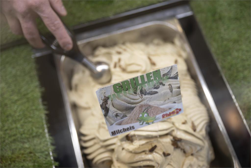 您敢吃嗎？德國超狂老闆推「蟋蟀冰淇淋」　顧客一吃驚呆：非常美味！