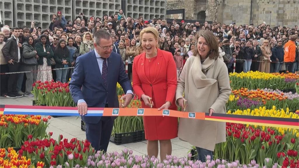 柏林花海背後:50億鬱金香的秘密,這舉動全說了!