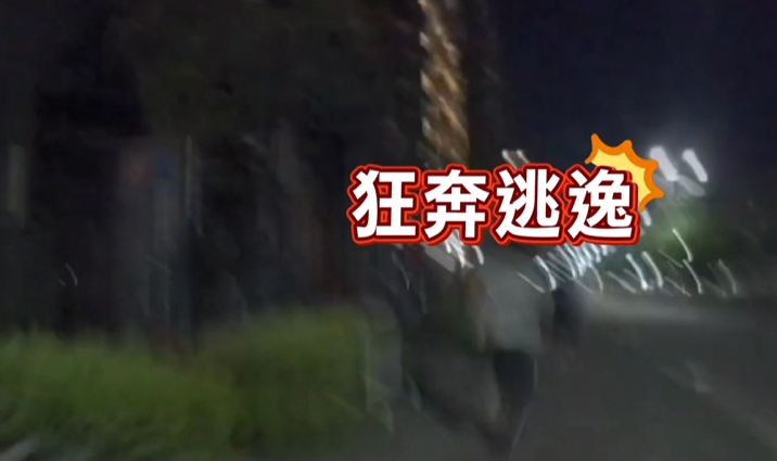 車輛違停揪失聯移工　男子狂奔逃逸跌倒遭逮