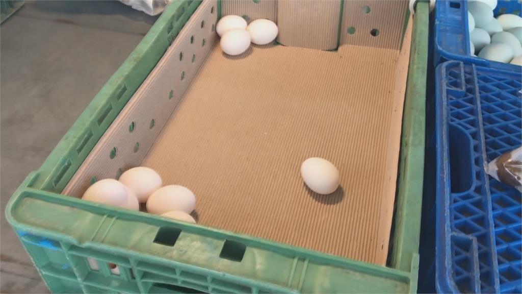 產地價一箱730元　蛋農開價900元買蛋