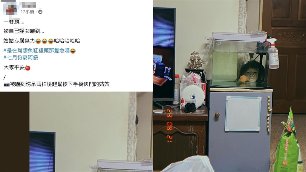 最凶鬼月⋯客廳驚見「鐵青女童頭掛魚缸」她嚇壞!真相曝網笑:很應景