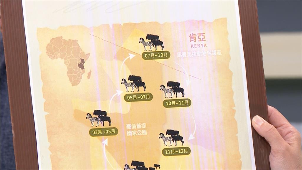 情義相挺還是老謀深算？　趙少康宣布不去看大象斑馬了