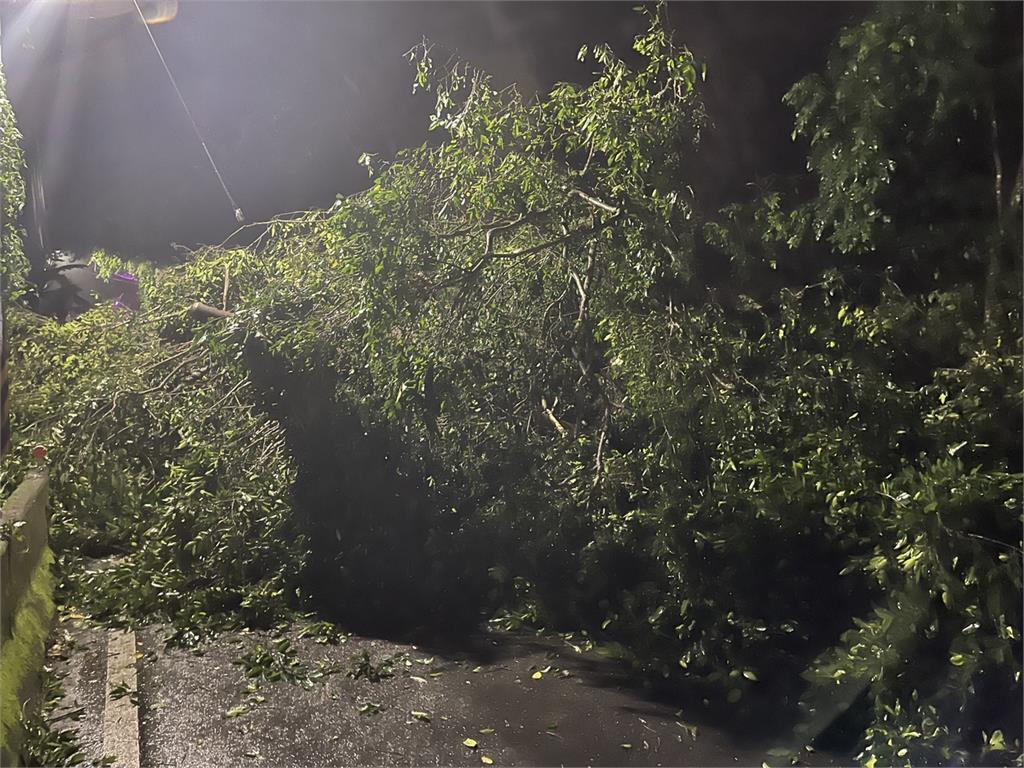 快新聞／竹縣道122線32K處大石及樹木崩塌　估24時恢復雙向通車