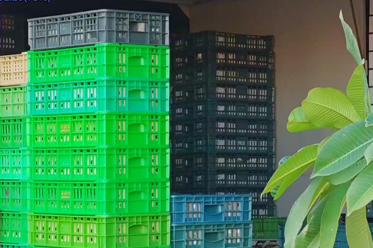 偷賣！彰化文雅芬普尼蛋非法流出　食藥署函送檢方偵辦