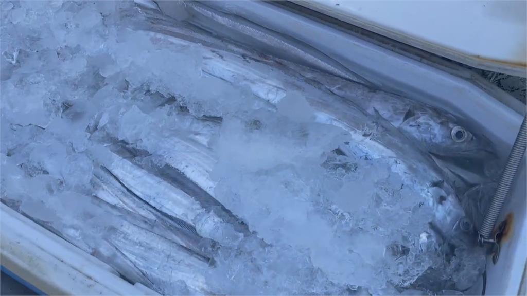 基隆八斗子外海漂大量白帶魚死屍 疑因「這個數值」未達標遭遺棄