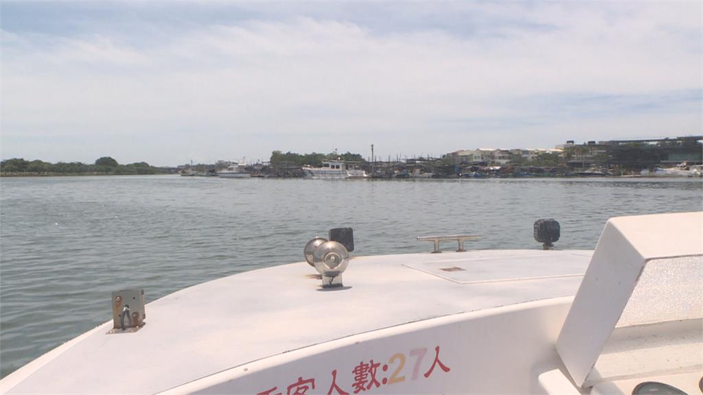 季節限定奇景！　浮游食物增　台南運河現大群青鱗魚