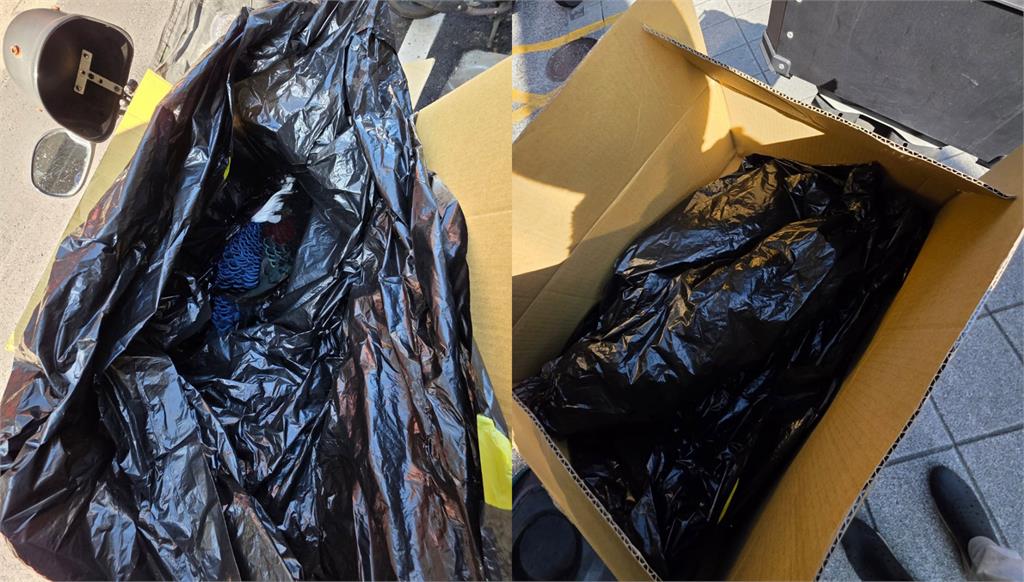 「最傻眼路殺!」秀朗橋下驚見藍腹鷴屍體 柳丁哥哥嘆:這次救援是人生最難忘