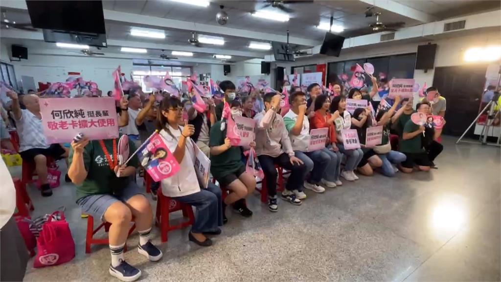 盧秀燕出席民眾黨慶喊「倒賴」　綠營砲轟只顧政治算計