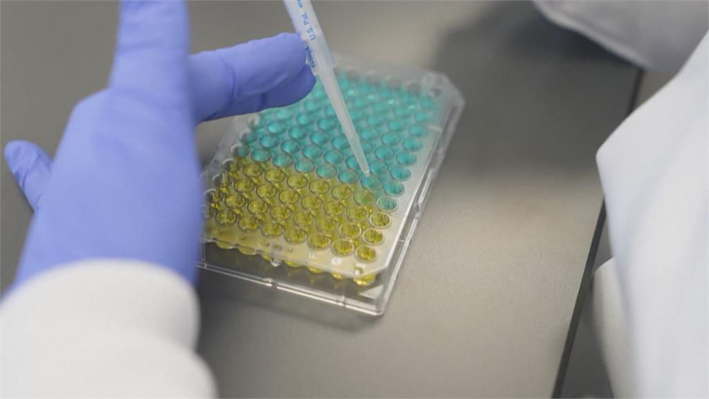 亞洲象幼象染「大象疱疹」致死率達80%　英國研發疫苗對抗