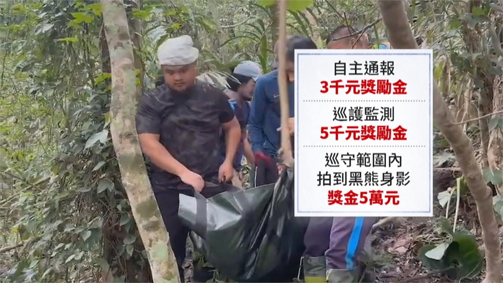 成功救援受困斷掌台灣黑熊　「生態服務給付計畫」首例