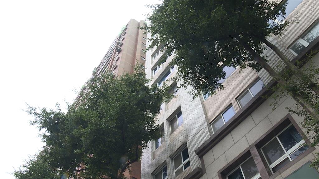 禍從天降！新北永和「碎裂盆栽」掉落砸車　三重轎車慘遭蛋襲