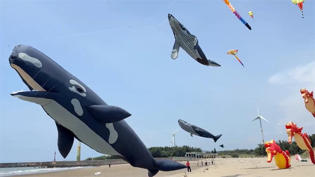 苗栗沙雕不畏風雨！　主辦加碼「放飛」鯨魚上空成海洋世界