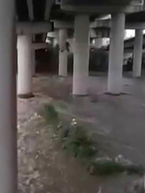 暴雨炸台中!烏溪暴漲 釣客受困沙洲警消垂降救援