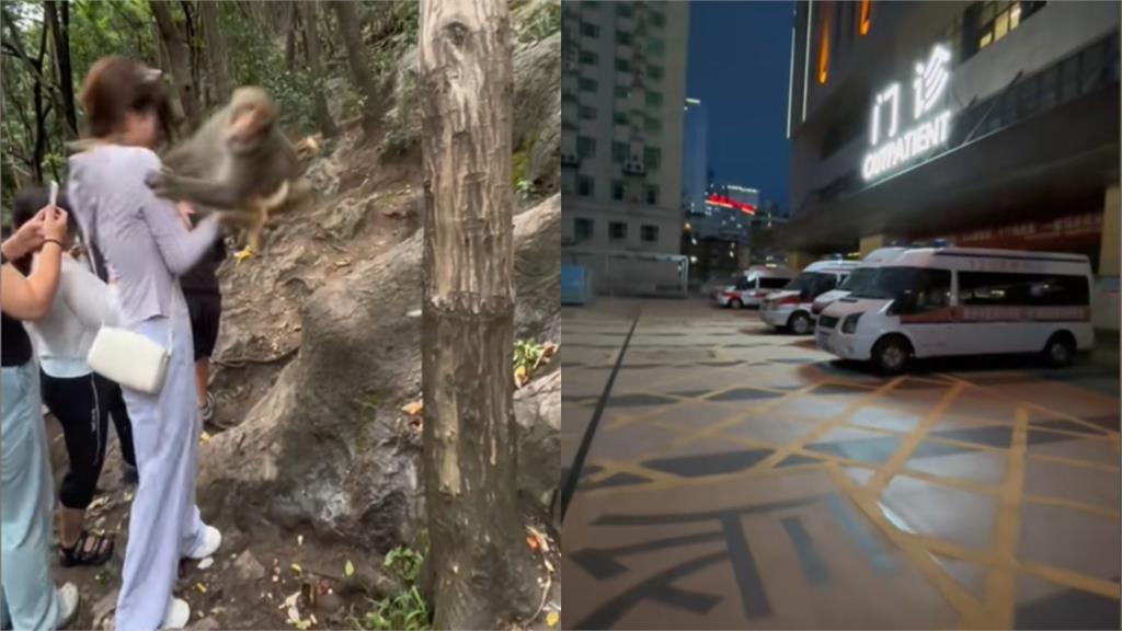 中國猴子遭「黃色棒狀物」猛戳不忍了!下秒「迴旋飛踢」讓長髮妹骨折送醫