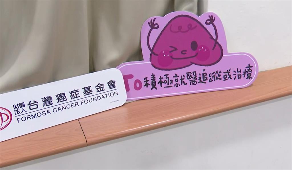 台灣癌症基金會攜手嘉市府! 用皮影劇宣導肝病治療防治