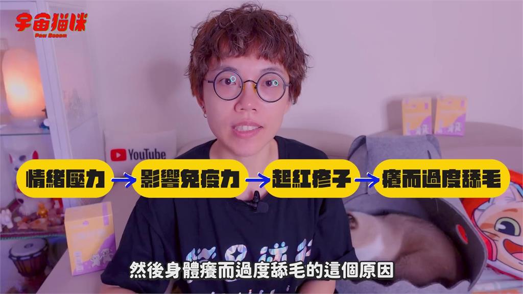 喵星人「頻繁做一動作」竟變禿毛貓 飼主親揭治療過程:一度失去信心