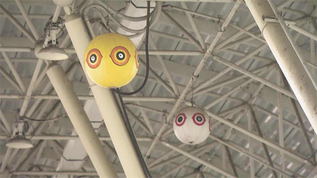 鳥害！鳥類排泄物從天而降　高雄捷運祭出「音波驅鳥」