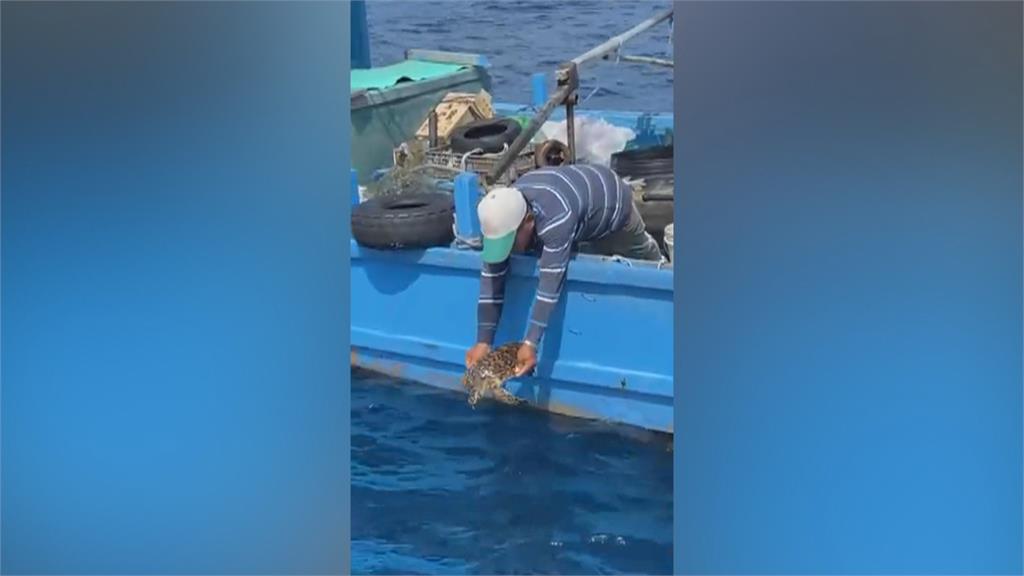 海龜遭廢棄漁網纏住 漁民出手相救還餵螃蟹