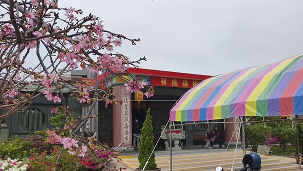 奇景！民眾參拜擲筊後「雙角立筊」　苗栗大埔福德祠廟方：建廟首次