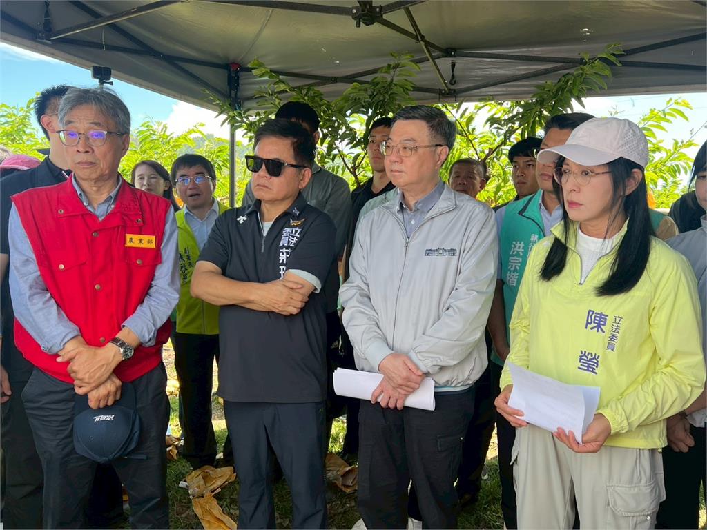 台東鳳梨釋迦「內銷調節」及「外銷獎勵」啟動  立委陳瑩、莊瑞雄要求農業部緊盯產地