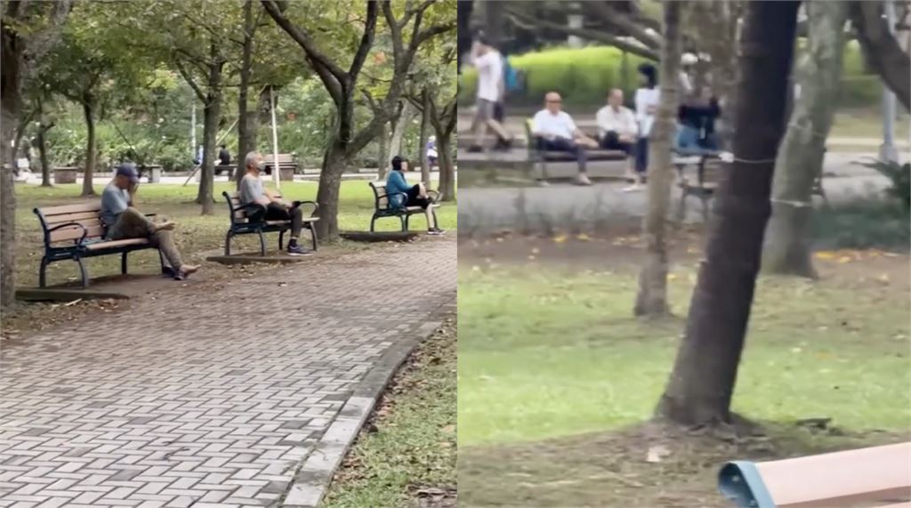 大安森林公園集體「啪啪響」？長輩齊拍腳底引萬名圍觀　內行揭真相