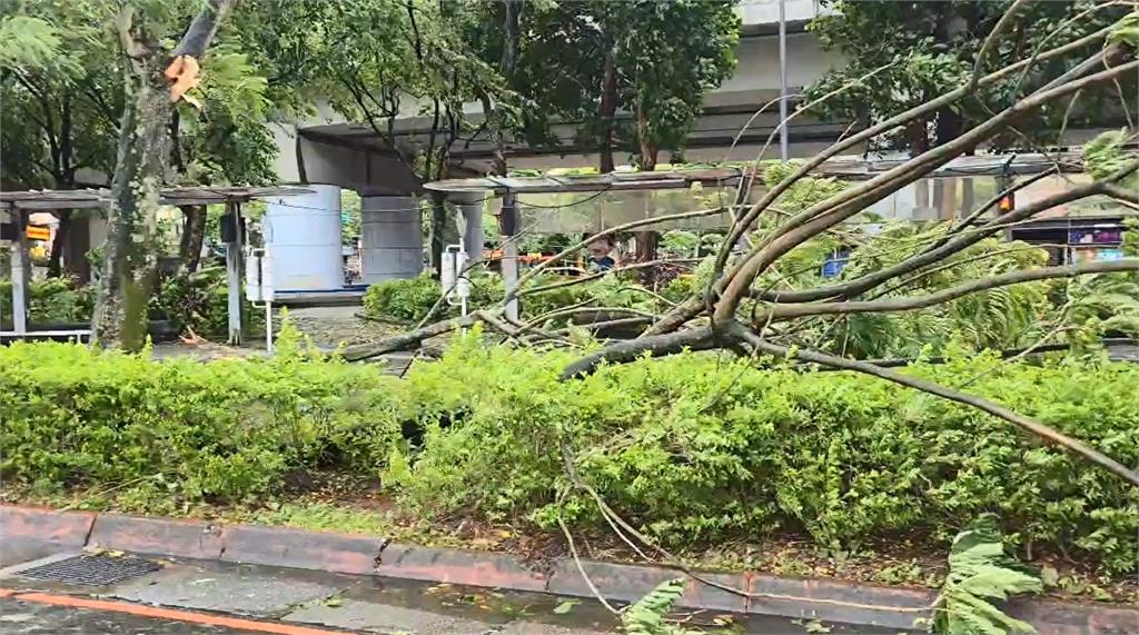 淹水、風災當心傳染病找上門! 疾管署提醒防疫三步驟