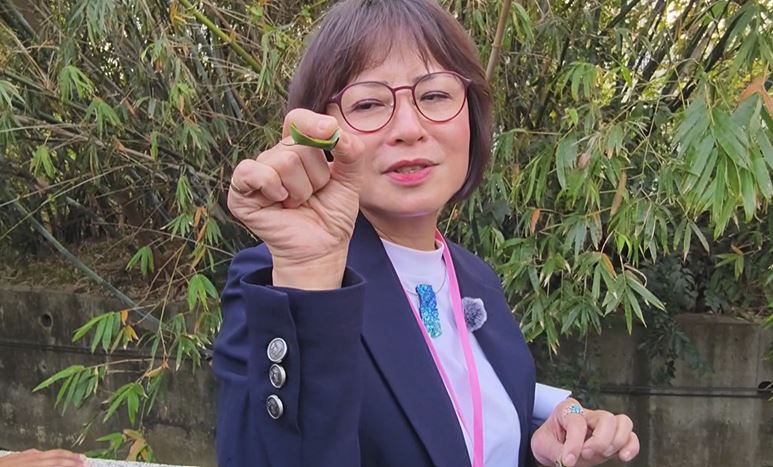 打造苗栗市成「小金澤」！　林月琴拚水都願景「水圳好生活」