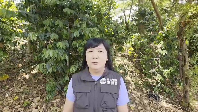 快新聞/連署造假不只地方黨部! 綠委:「陳瑩案」與藍營中央脫不了關係