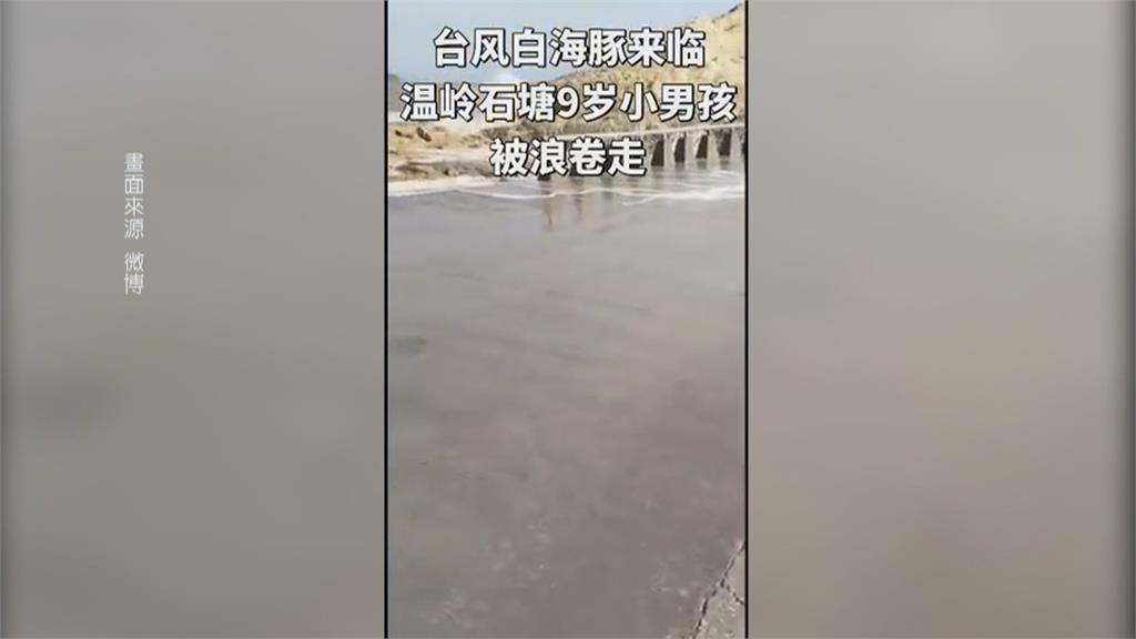 白海豚將登陸中國浙江、福建沿海　浙江四口之家觀浪９歲男童遭捲走