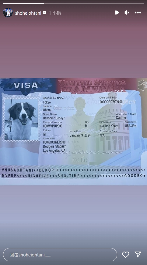 MLB／大谷翔平愛犬有「雙重國籍」了！美駐日大使館「PO照」證實