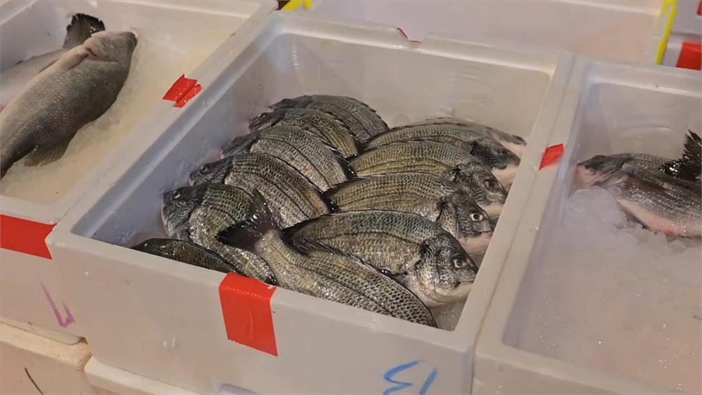 凌晨衝北市最大魚市場!這尾「1斤竟要8百元」 夫妻檔買不下手:很少見