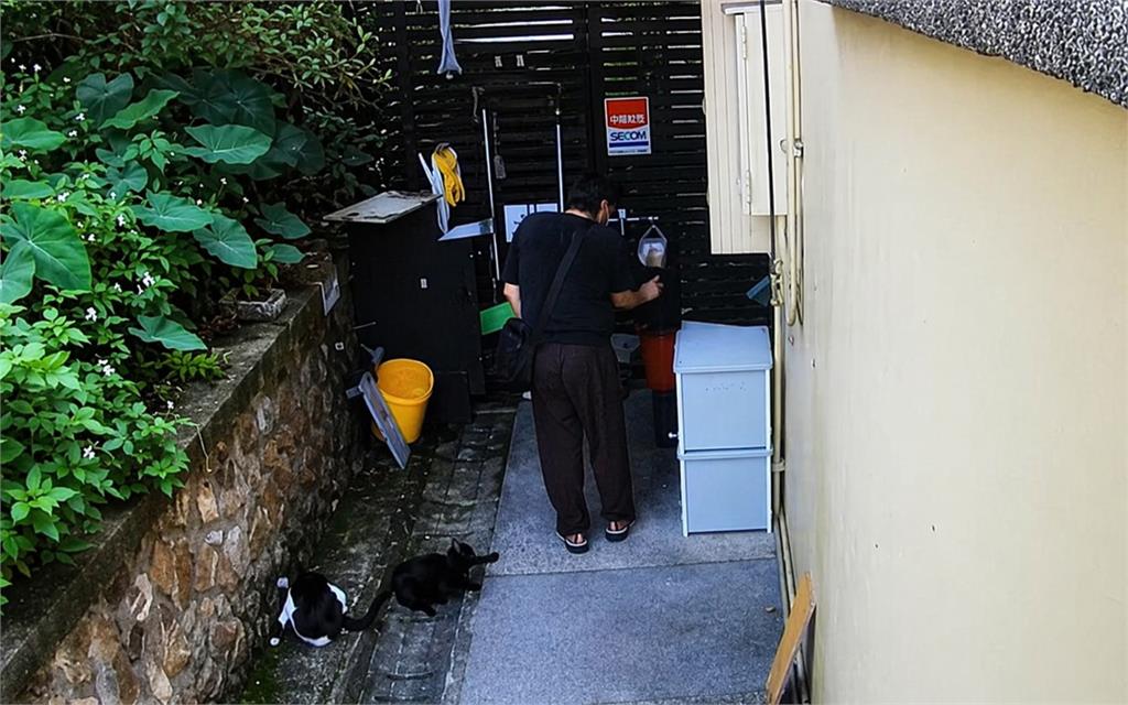 快新聞/猴硐虐貓案火速偵破!28歲男子持辣椒水噴5貓 稱「心情不好」