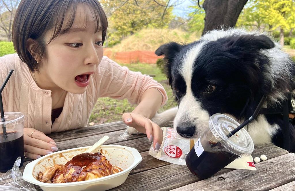 日本美女吃飯遭「偷襲」!驚險畫面曝 網笑說:狗狗很著急
