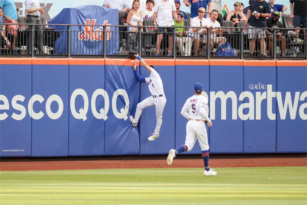 MLB(影)/這隻松鼠攔路搶劫!7個位置都能守的麥克尼爾沒收歐祖納全壘打