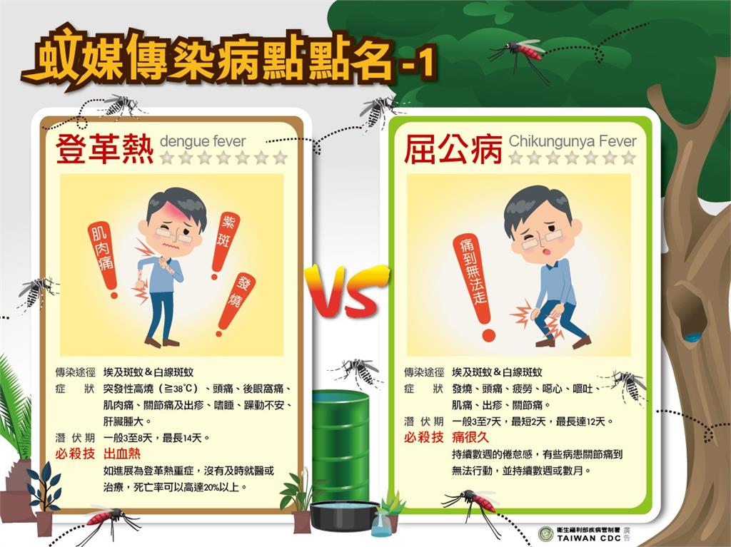 都是由病媒蚊散布⋯屈公病≠登革熱！「這症狀」恐讓你痛到無法行動