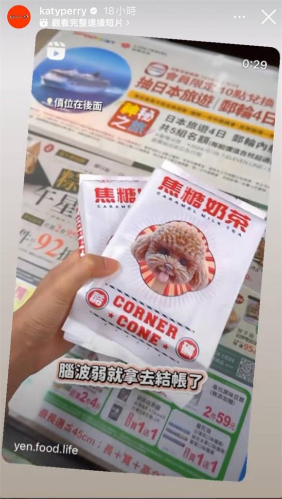 高雄「貴賓狗造型冰」紅到國外 美國天后凱蒂佩芮轉發分享