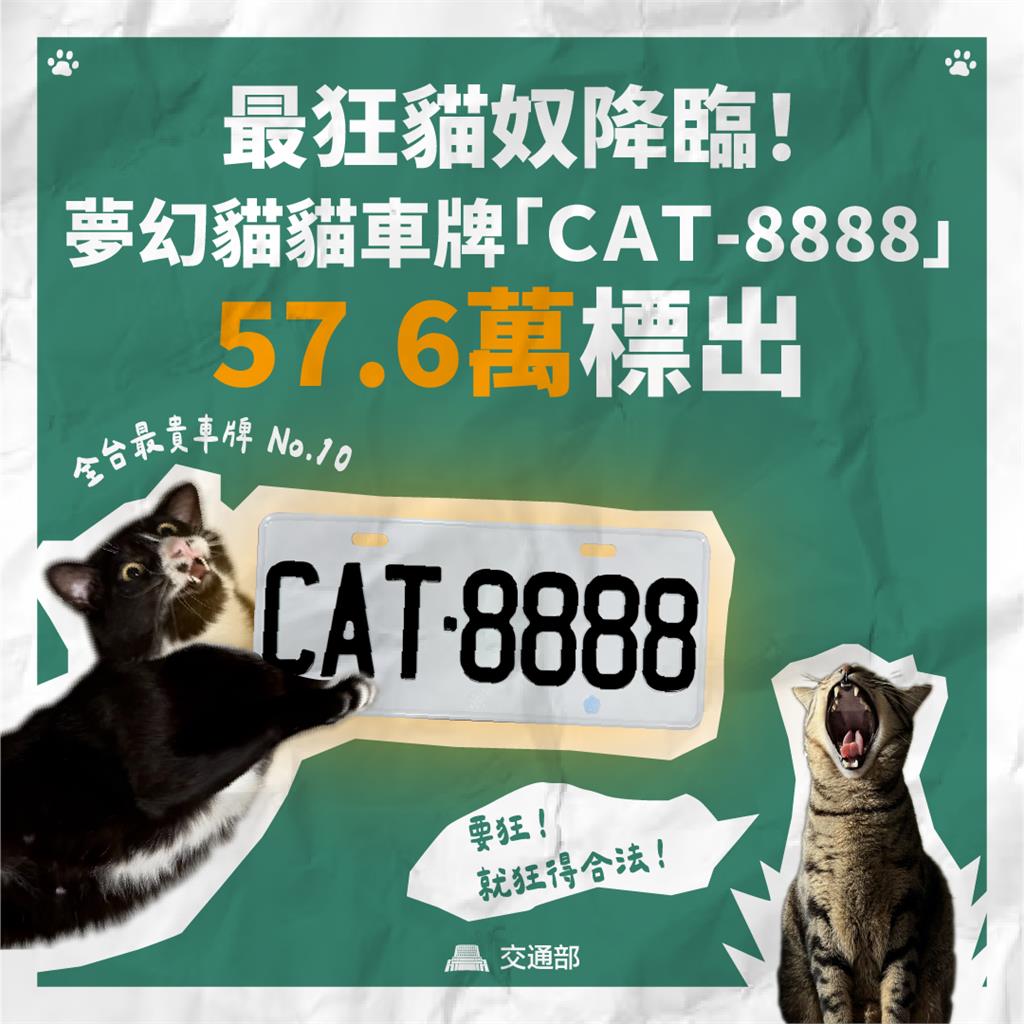 貓奴豪砸58萬得標「CAT-8888」車牌!狗派崩潰「DOG為何禁用」原因曝光了
