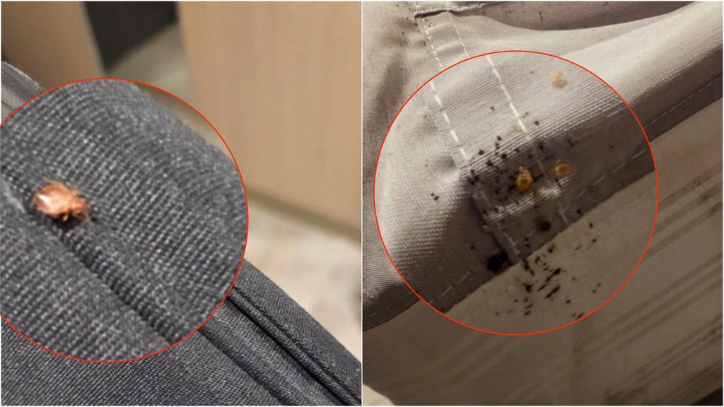 北車商旅開房間「掀床墊驚見排泄物」活蟲在爬!飯店「還原實情」回應了