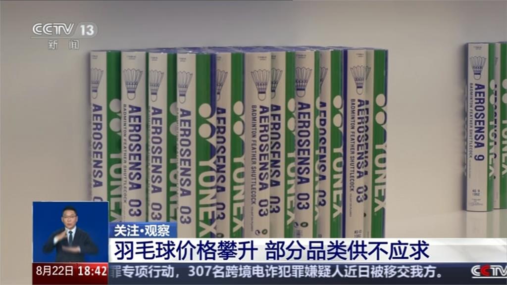 大缺貨!原物料不足+價格高 中國買嘸羽毛球
