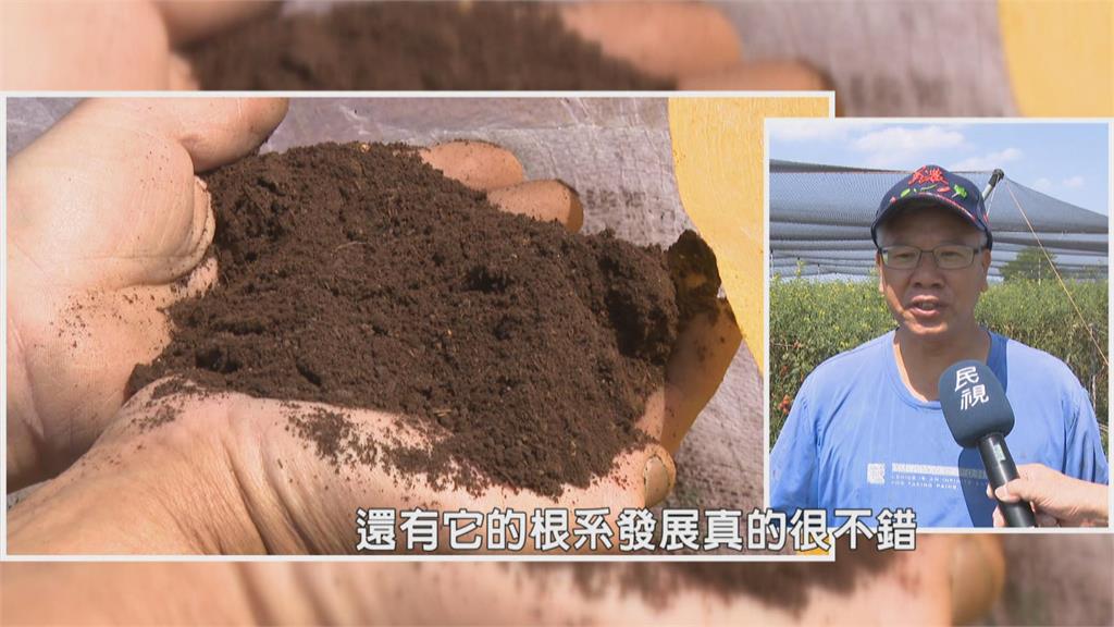 研發「AI廚餘辨識」轉製有機肥　落實「餐桌到餐桌」循環鏈