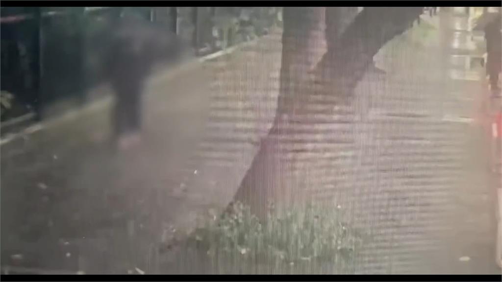 雨天步行疑雨傘碰撞爆衝突 植物園外男女互毆受傷互告傷害