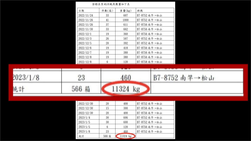 MAGIC!馬祖沒有養鮑魚 轉運高達11噸來台「哪來的」?
