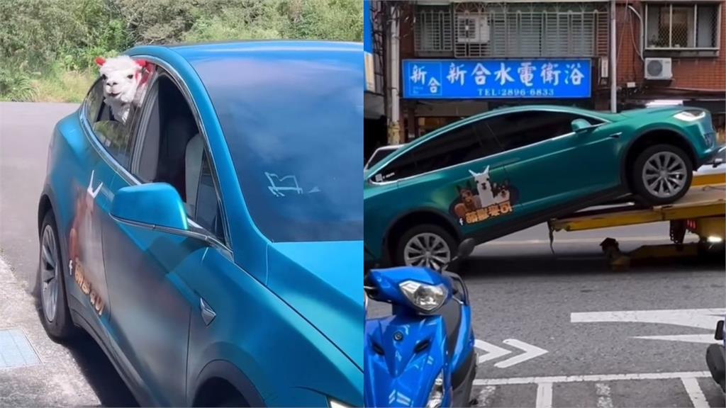 10億女神王宥忻特斯拉出事!拖吊失誤600萬「羊駝專車」下巴全掀影片曝