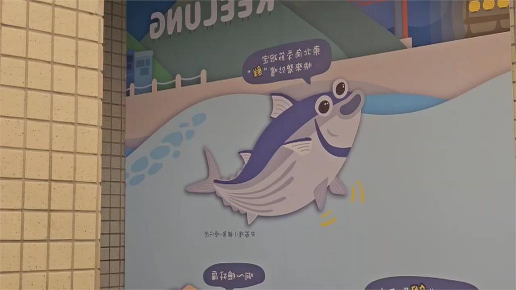 煙仔虎、煙仔傻傻分不清？　基隆特色海產「煙仔虎」被畫錯惹議