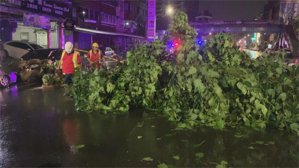 高雄風強雨驟　路樹倒塌砸到行駛中的小黃