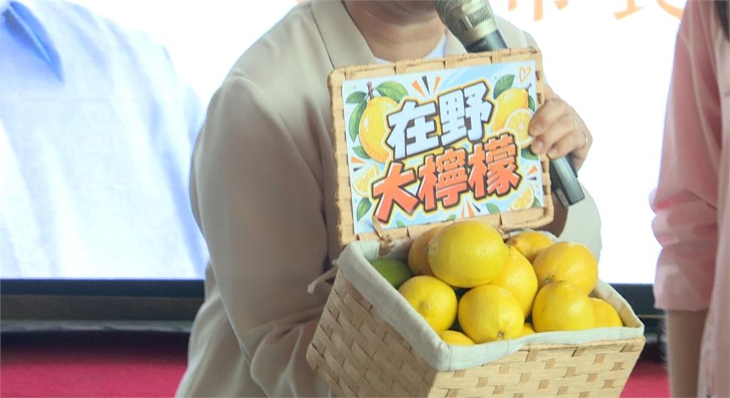 盧秀燕促「在野大聯盟」！　綠諷自打臉、藍小雞：各自努力