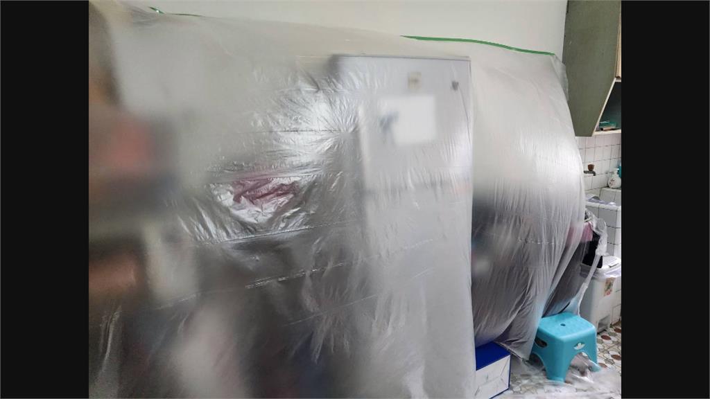 拋下過世愛貓返家要噴藥防登革熱 熬夜整理卻接通知「不噴了」