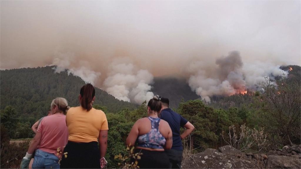 西班牙島嶼竄野火！　2天燒掉100座大安森林公園