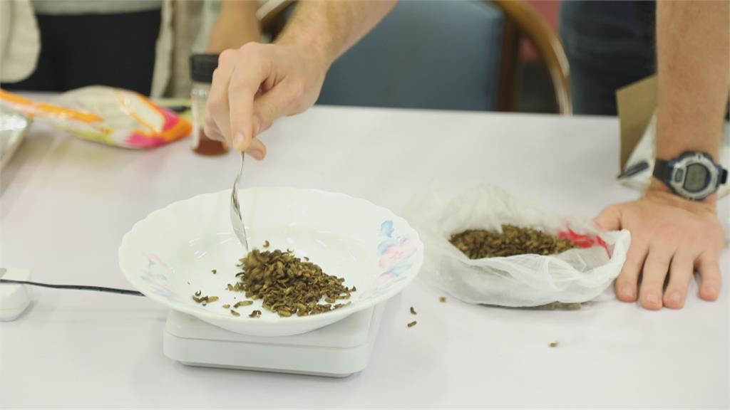 創意視角看台灣　以色列籍教授食用昆蟲學引熱潮